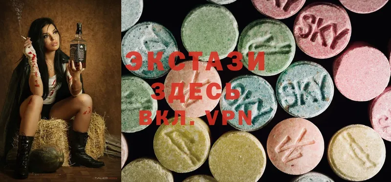 что такое   Бирюч  Ecstasy Philipp Plein 