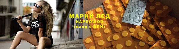 индика Богородицк