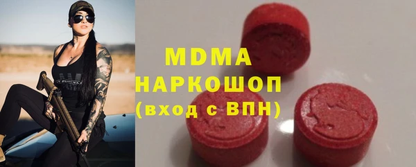 индика Богородицк