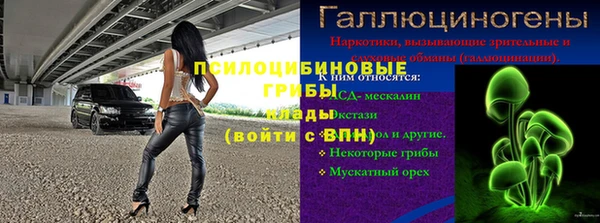 индика Богородицк