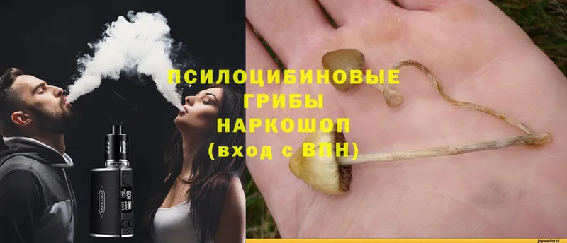 купить  сайты  Бирюч  Псилоцибиновые грибы Magic Shrooms 